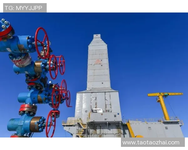 亚马尔地区的能源战略与全球气候变化的互动分析与展望