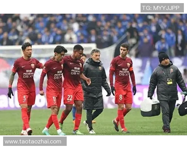 广州排球队战术解析与未来发展方向的深入探讨