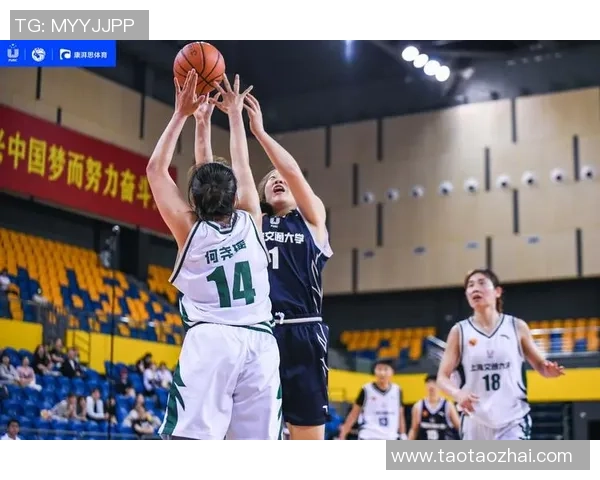 西安篮球队现状揭秘：从训练到比赛的全面分析与展望