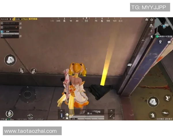 专访陈丽：深入探讨和平精英背后的成功秘诀与未来发展方向