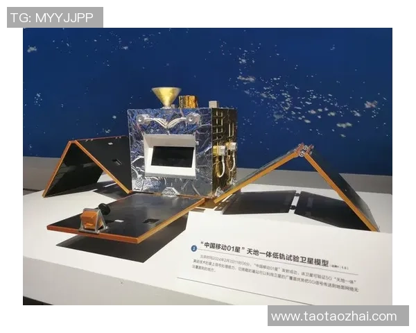 成都羽毛球队奋勇拼搏的荣耀之路与突破成就全景回顾