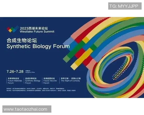 杭州足球队反击战术解析与未来发展展望